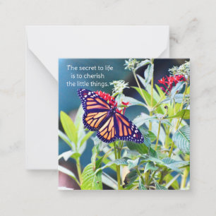Cartes pour notes Monarch Butterfly