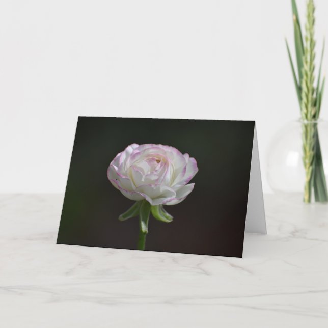 Cartes pour notes rose et blanc rose (blanc intéri (Devant)