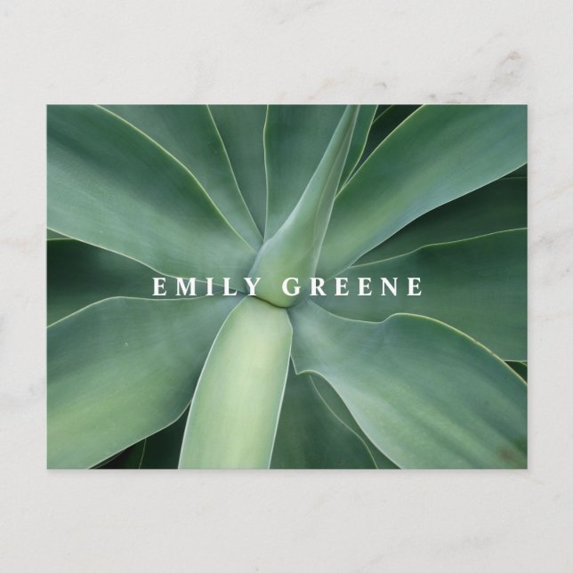 Cartes pour notes succulents (Devant)