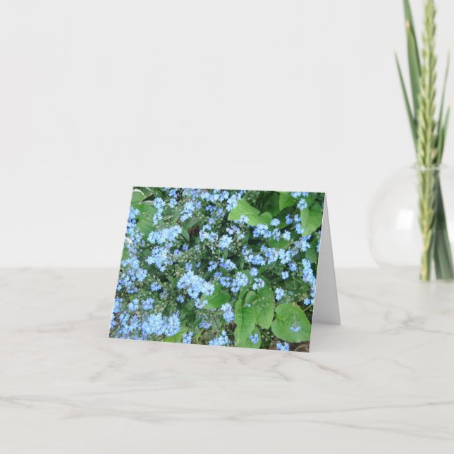 Cartes pour notes vides de *Forget-Me-Not* (Devant)