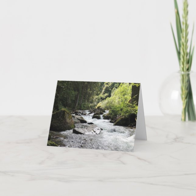 Cartes pour notes vierges des forêts et des cours  (Devant)