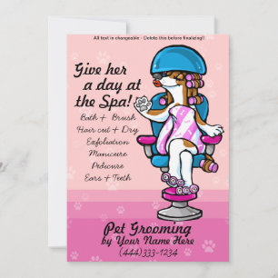 Cartes publicitaires professionnelles pour toilett