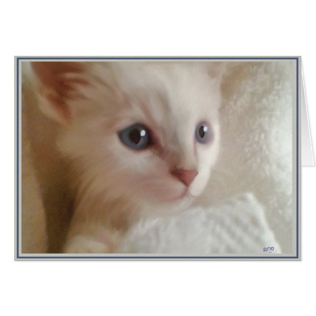 Cartes PUPs Chats 11 (Devant horizontal)