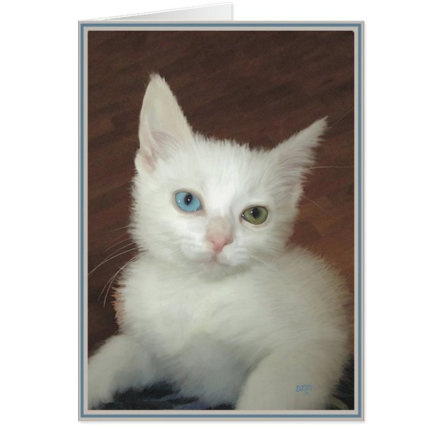 Cartes PUPs Chats 17 (Devant)