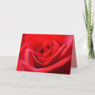 Cartes Red Rose Fleurs rouges Carte de voeux perso
