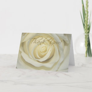 Cartes Rose Crème Merci