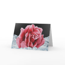 Cartes roses congelées
