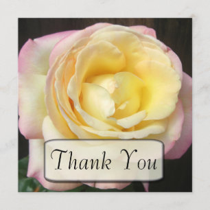 Cartes roses de Merci de paix