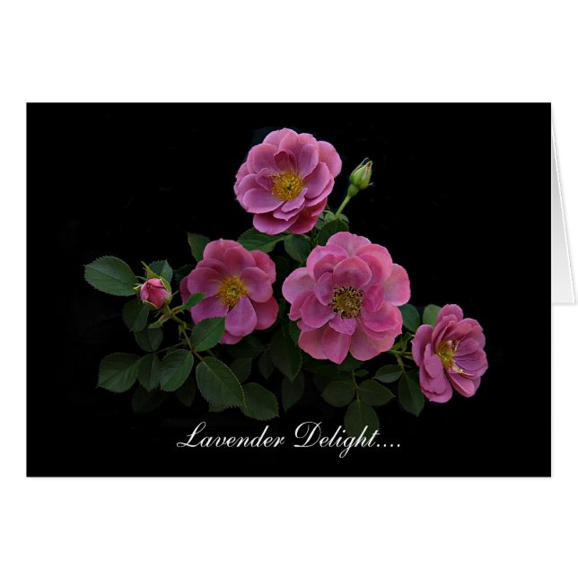 Cartes roses par Stan le Roseman (Devant horizontal)