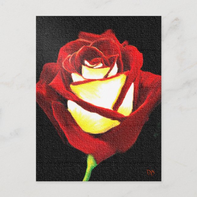 Cartes Roses rouges et blanches (Devant)