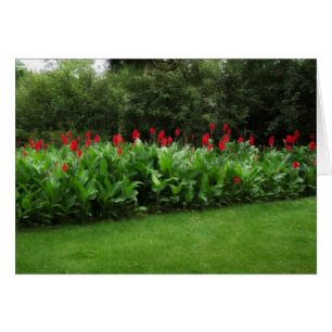 CARTES ROUGES DE JARDIN DE ~ DU VERT NORTHWOODS DE