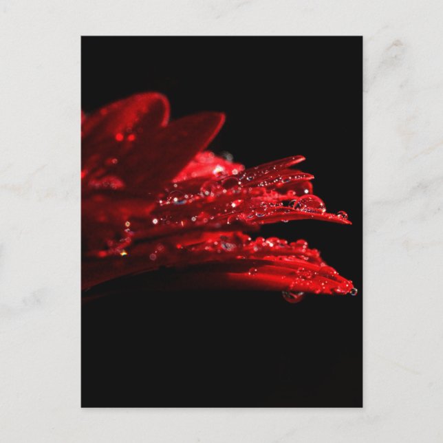 Cartes rouges d'or… (Devant)