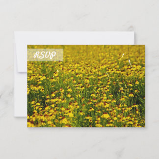 Cartes RSVP Tournesol Photo sur Cartes Noires