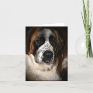 Cartes Saint Bernard, personnalisable