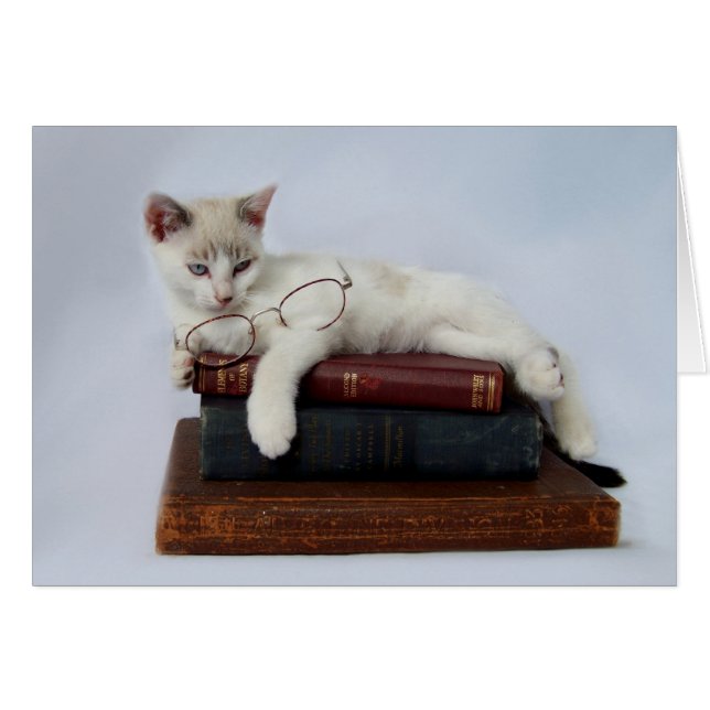 Cartes sauvages de chaton de septembre (Devant horizontal)