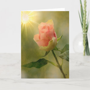 Cartes simples de rose de rose