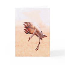 Cartes soloes de grue de Sandhill