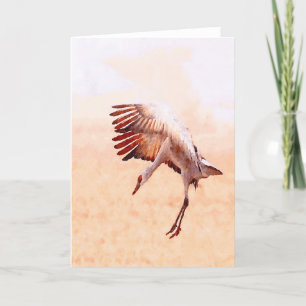 Cartes soloes de grue de Sandhill