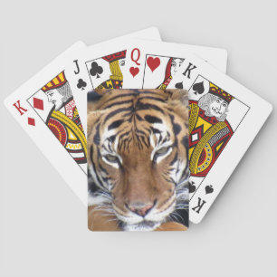 Cartes Tigre - Bicyclettes de jeu