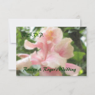 Cartes tropicales hawaïennes de la ketmie RSVP