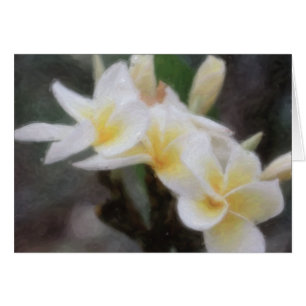 Cartes tropicales hawaïennes de Plumeria