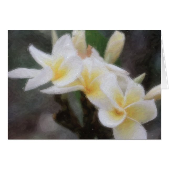 Cartes tropicales hawaïennes de Plumeria (Devant horizontal)