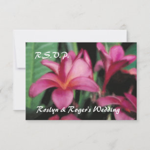Cartes tropicales hawaïennes du Plumeria RSVP
