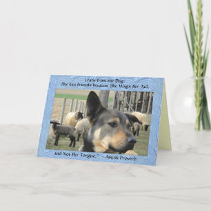 Cartes vierges ! Proverbe de chien