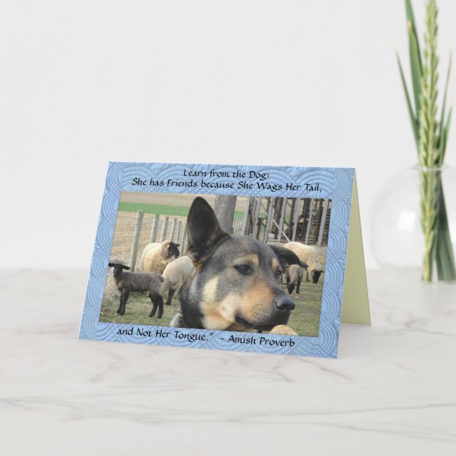 Cartes vierges ! Proverbe de chien (Devant)