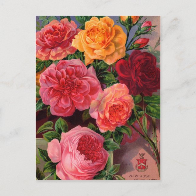 Cartes vintages, Postage et Cadeaux (Devant)