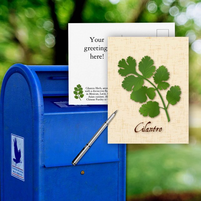Cartographiez la carte postale de l'herbe de coria (Customize Cilantro Herb Postcard, aromatic leaves with a distinctive flavor.)