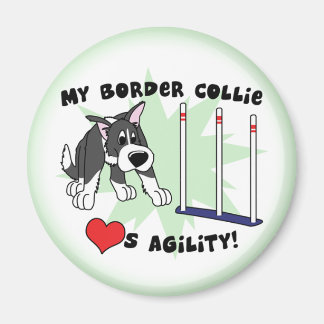 Carton Agilité Bordure Collie Magnet