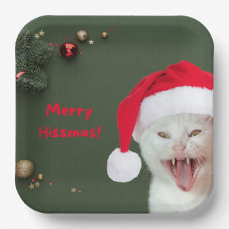 Carton Assiettes en Papier, Joyeux Hiss Noël