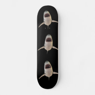 CARTON DE SKATEBOARD SHARK SHARK
