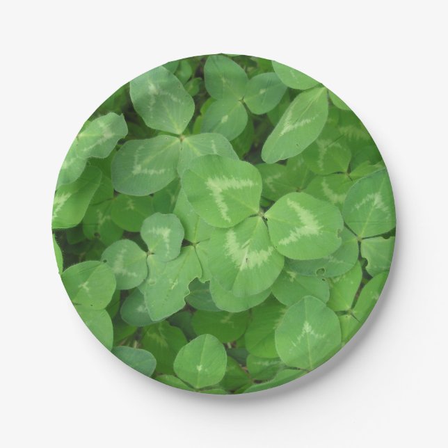 Carton Lucky Clovers ! Assiettes en Papier. (Devant)