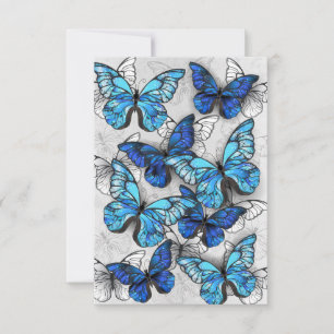 Cartons Réponse Composition des White and Blue Butterflies