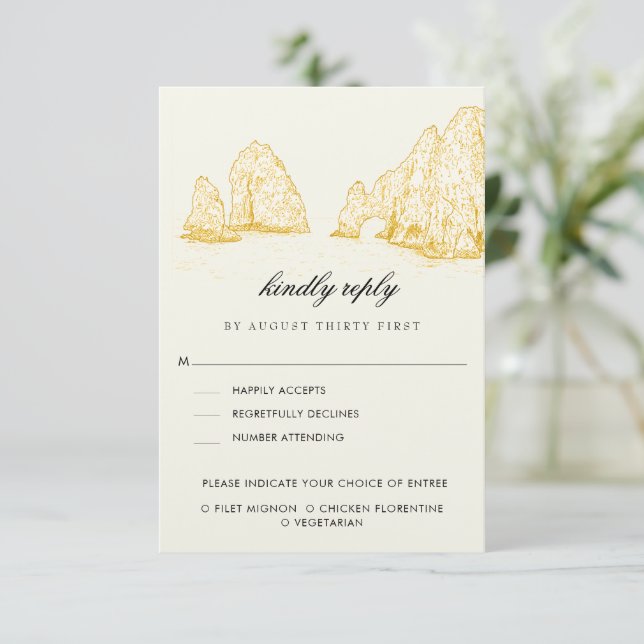 Cartons Réponse El Arco Cabo San Lucas Kindly Reply | Meal Options (Debout devant)