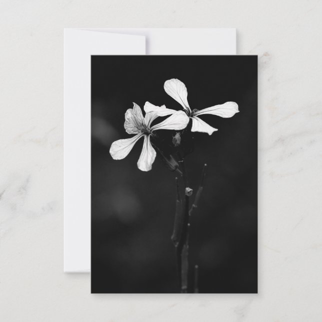 Cartons Réponse floral noir et blanc minimal (Devant)