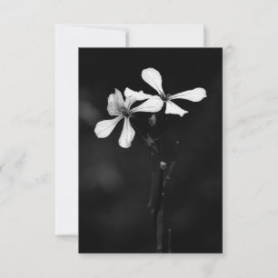 Cartons Réponse floral noir et blanc minimal