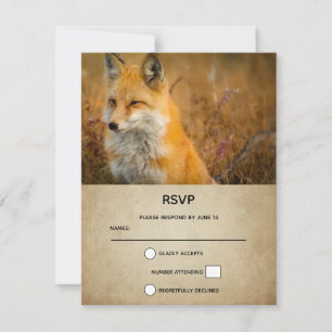 Cartons Réponse Jote Red Fox Wilderness Nature Photo