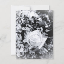 Livre d'or Rose Monochrome pour Mariage