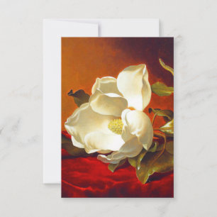 Cartons Réponse Magnolia sur Red Velvet Martin Johnson Heade