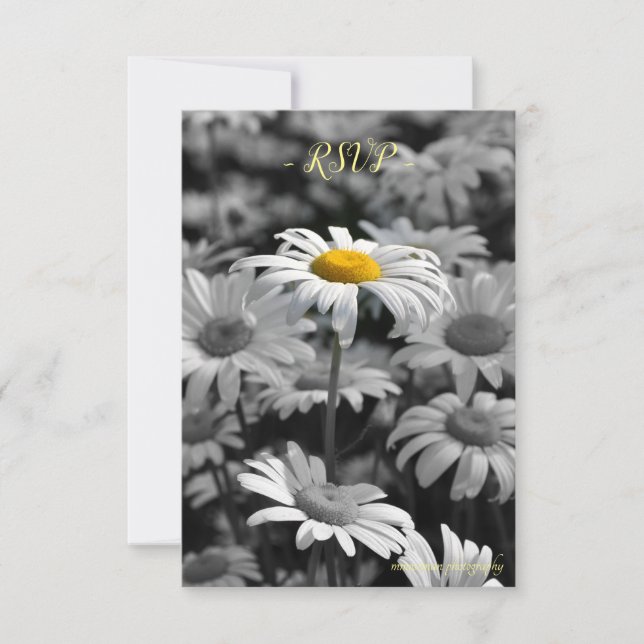 Cartons Réponse Marguerite jaune dans une mer de marguerites noire (Devant)