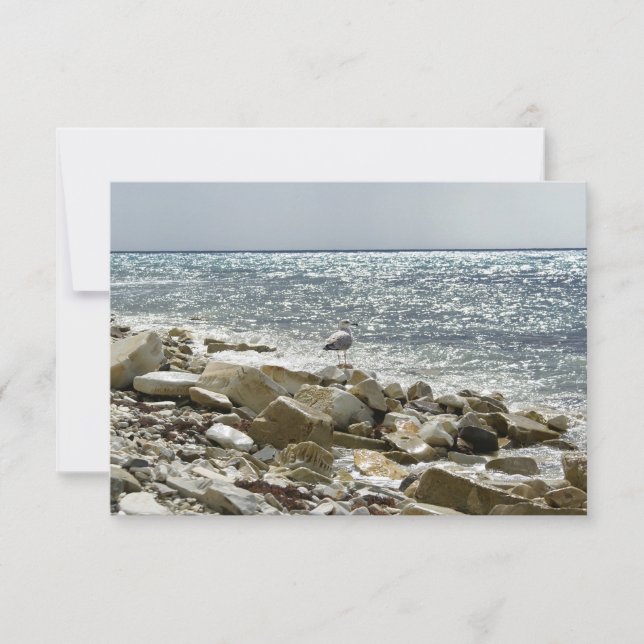 Cartons Réponse Mouette et mer (Devant)