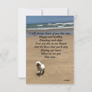 Cartons Réponse Pet Tribute