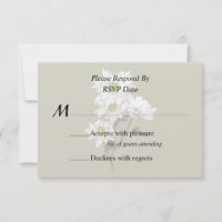 Petite Marguerite qui regarde vers le haut