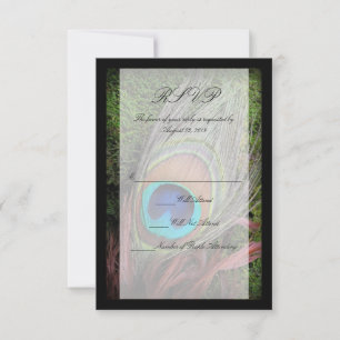 Cartons Réponse Rich Peacock Feed avec mousse verte