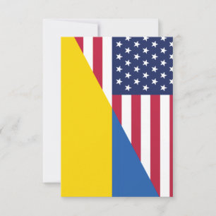 Cartons Réponse Soutien américain à l'Ukraine Sherpa Blanket