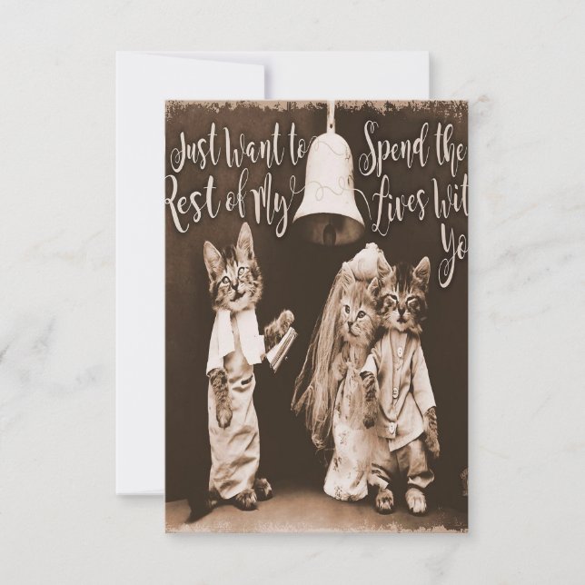 Cartons Réponse Vintage Cat Wedding |Cute Cat Design (Devant)