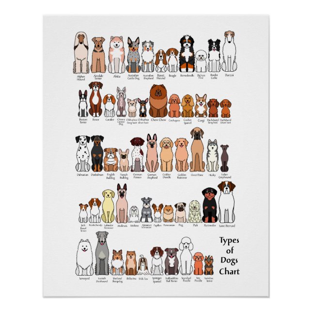 cartoon dog breeds poster (Devant)